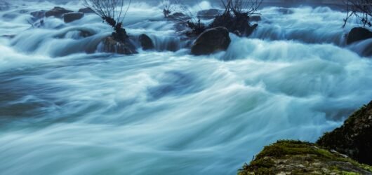 Pourquoi Vous Ne Devriez JAMAIS Arrêter d’Utiliser de l’Argent Liquide – Les Avantages Méconnus