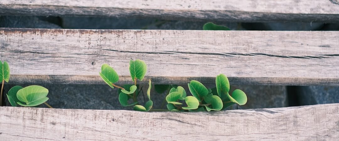 Comment Surmonter la Stagnation Entrepreneuriale : Les Clés pour Se Libérer et Avancer