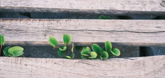 Comment Surmonter la Stagnation Entrepreneuriale : Les Clés pour Se Libérer et Avancer