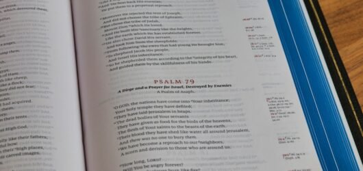 Coût de la Préparation au SAT : Guide Complet des Prix et Options