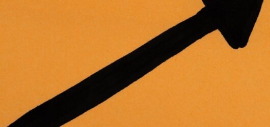 Ordonnance judiciaire : une bouée de sauvetage temporaire pour le programme SNAP